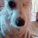 Samantha Cuff - @samanthacuff14 - Twitter