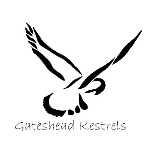 Gateshead Kestrels is a sports club that provides sporting pathways for young people with a disability from mainstream and special needs education.