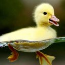 Sylvia Roland - @clamber108 - Twitter