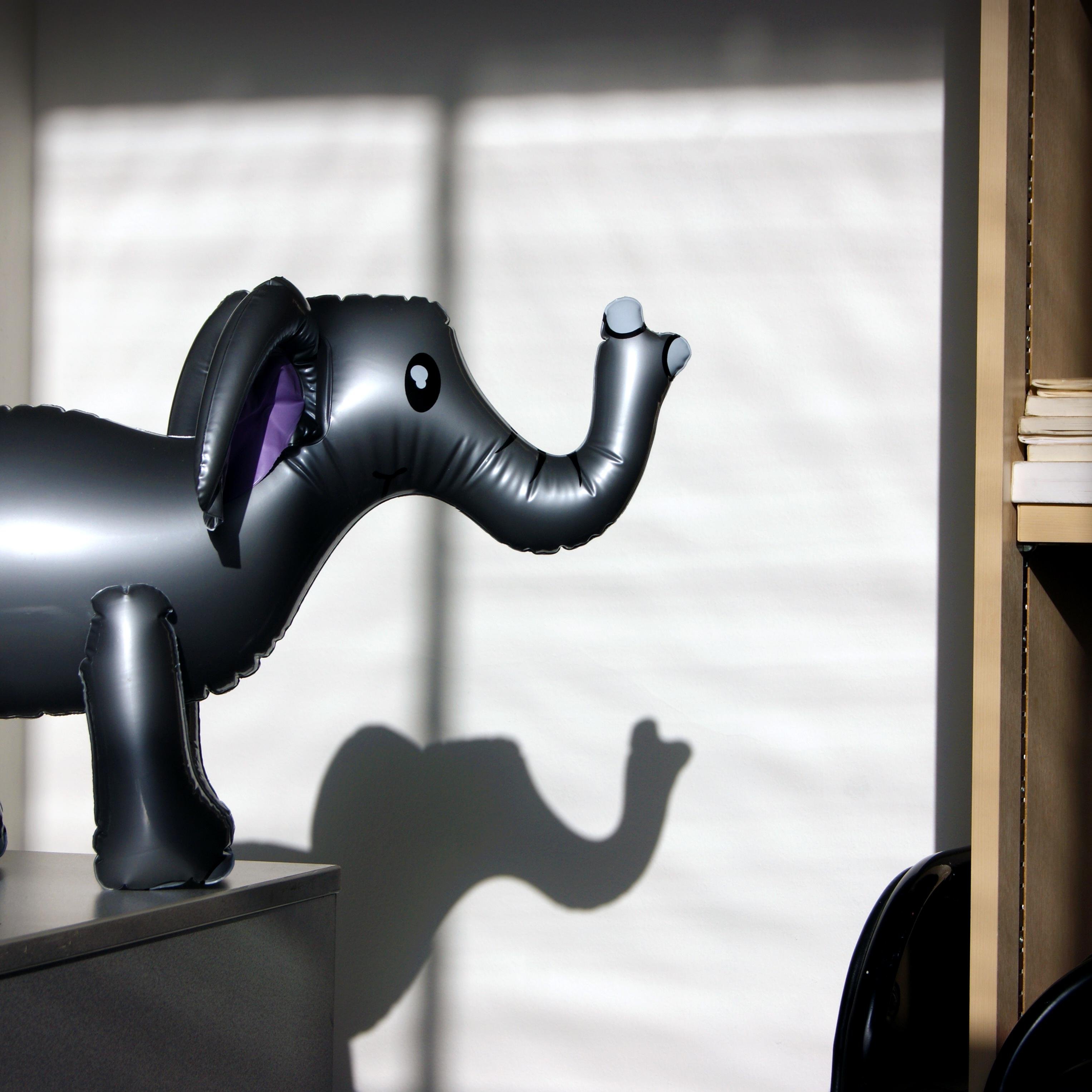 I am the 'elephant in the room' - lets talk about mental health