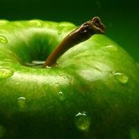 _apple_green's profile picture. #Яблоко #Зеленое #Твердое #Кислое
