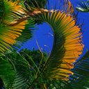 Annette Dutton - @roseannette27 - Twitter