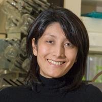 Associate Professor, Memorial University of Newfoundland. 
President-elect, CSPS. Editor-in-Chief, J Pharm Tox Methods, Researcher.