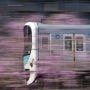 鉄道風景を1969年から54年ほど記録しています。 フィルムはデジタル化をして保存しています。 関東周辺と故郷の九州や冬の北海道・東北・北陸などが多いです。 地元の「西武鉄道」「風景写真」「野草」も書き込みます。 無言フォロー 失礼します。