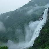 madhyapredesh's profile picture. 