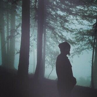 woods yet?