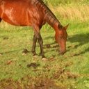 Tabitha Bennett - @TabithaBennett - Twitter