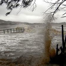 acrossditch's profile picture. Firefighter Naki, Hutt, NZ, Oz, Travel, Family history. The great outdoors. Food  presentation & food allergy safety critic. Live for coffee.