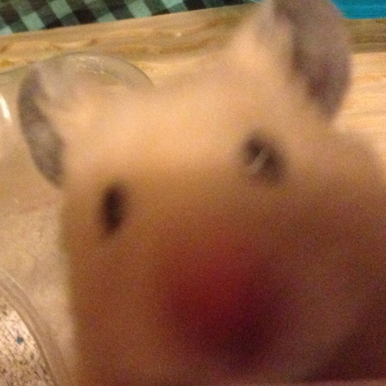 kuma26512's profile picture. 