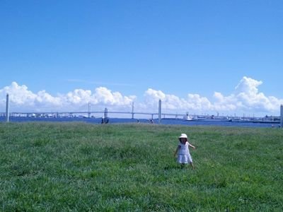 節約したり、長いものに巻かれるような生活、子育てを大切に生きるのを最近になって覚えた、世間知らずです。あなたは、いつ覚えましたか？
