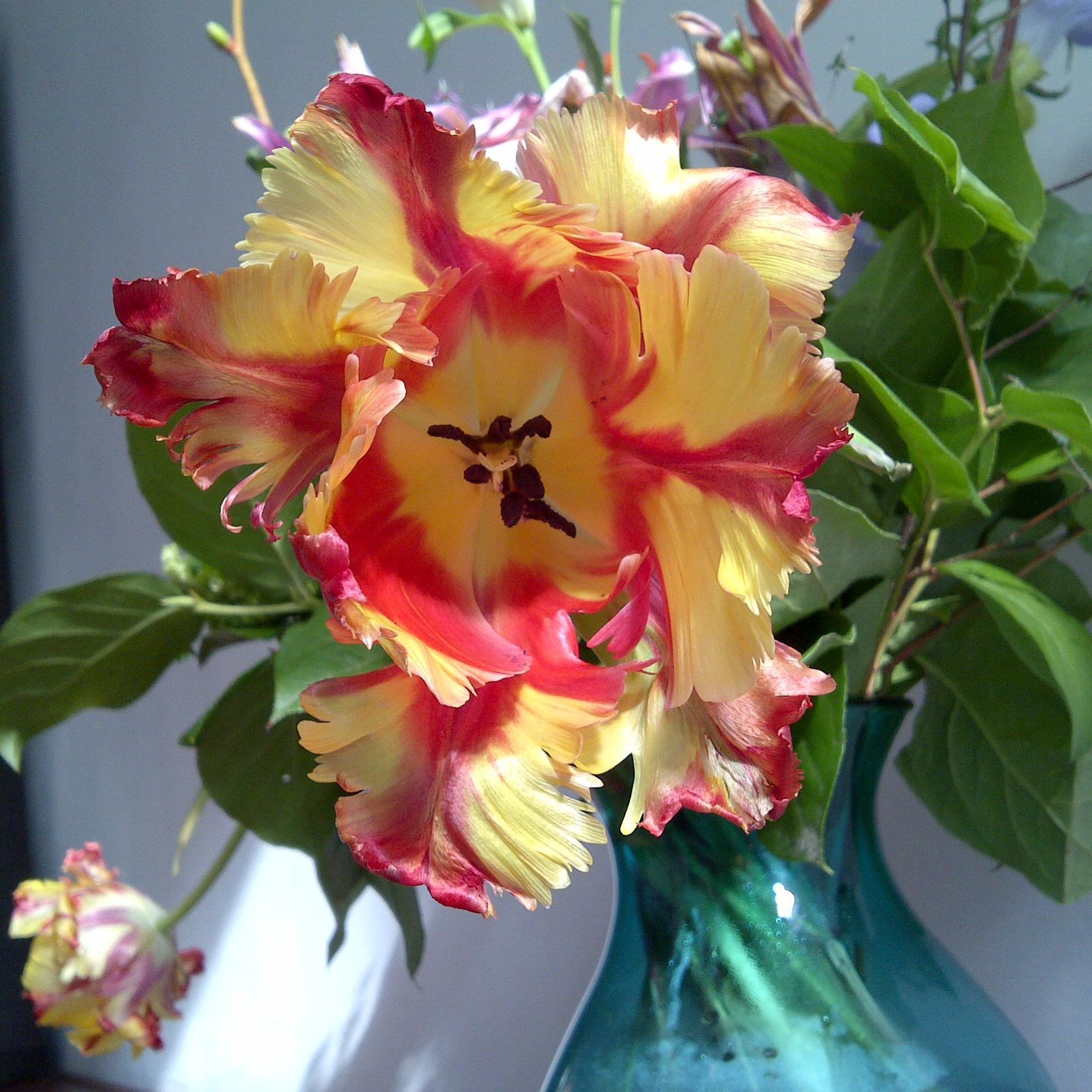 indianamaggie's profile picture. I am me !