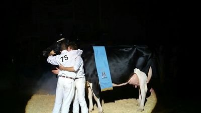 chuster2t's profile picture. Un gran aficionado del mundo holstein y de la tauromaquia. Dos torres