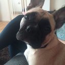 Debbie York - @debbieeyorkie11 - Twitter