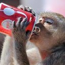 vikram mitra - @vikrammitra1 - Twitter