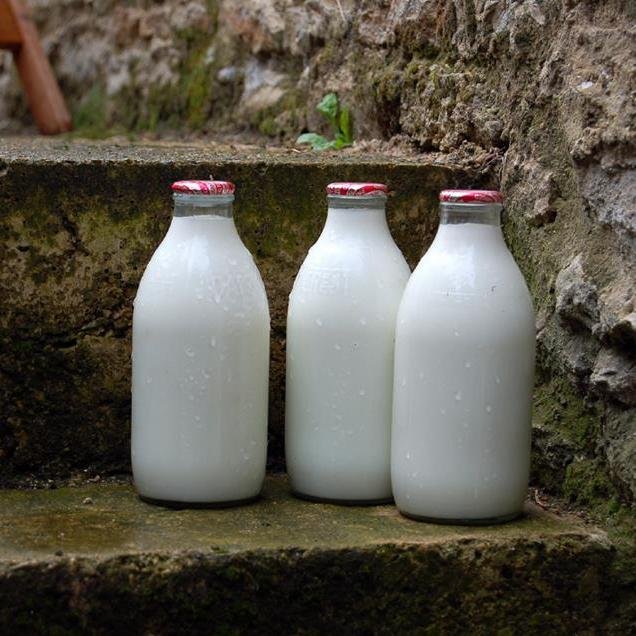Breconmilk's profile picture. Milk supplier to households and businesses in and around the Brecon area.