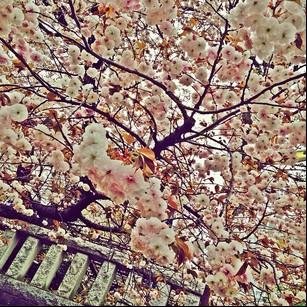 ATom0341991's profile picture. 宮城県/白石⇄仙台/91*03*04*　DANCE