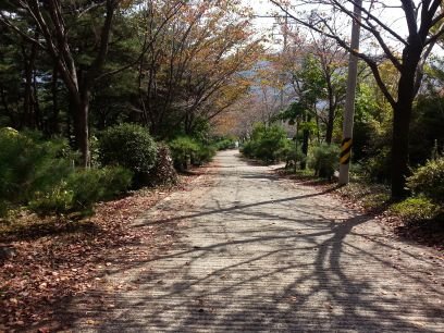 honga2014's profile picture. 