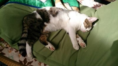 ちーこさんのプロフィール画像
