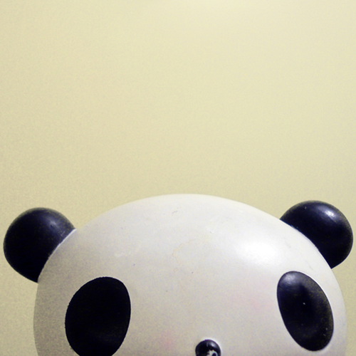 pandaredscarf's profile picture. 