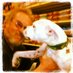 Steve Cartwright (@sccart1) Twitter profile photo