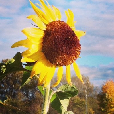 pcrawford14's profile picture. 