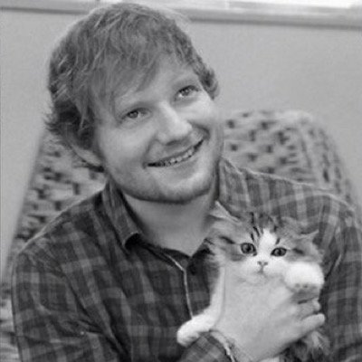 ChiaraFollow's profile picture. hey you just got a free follow! have a good day