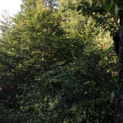 dieser account wird nicht mehr benutzt! neuer: nina.dammerer !!!!!