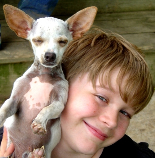 thedogpile's profile picture. dog lover, bike rider, video gamer