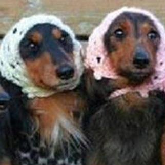 FeiweWerner's profile picture. 