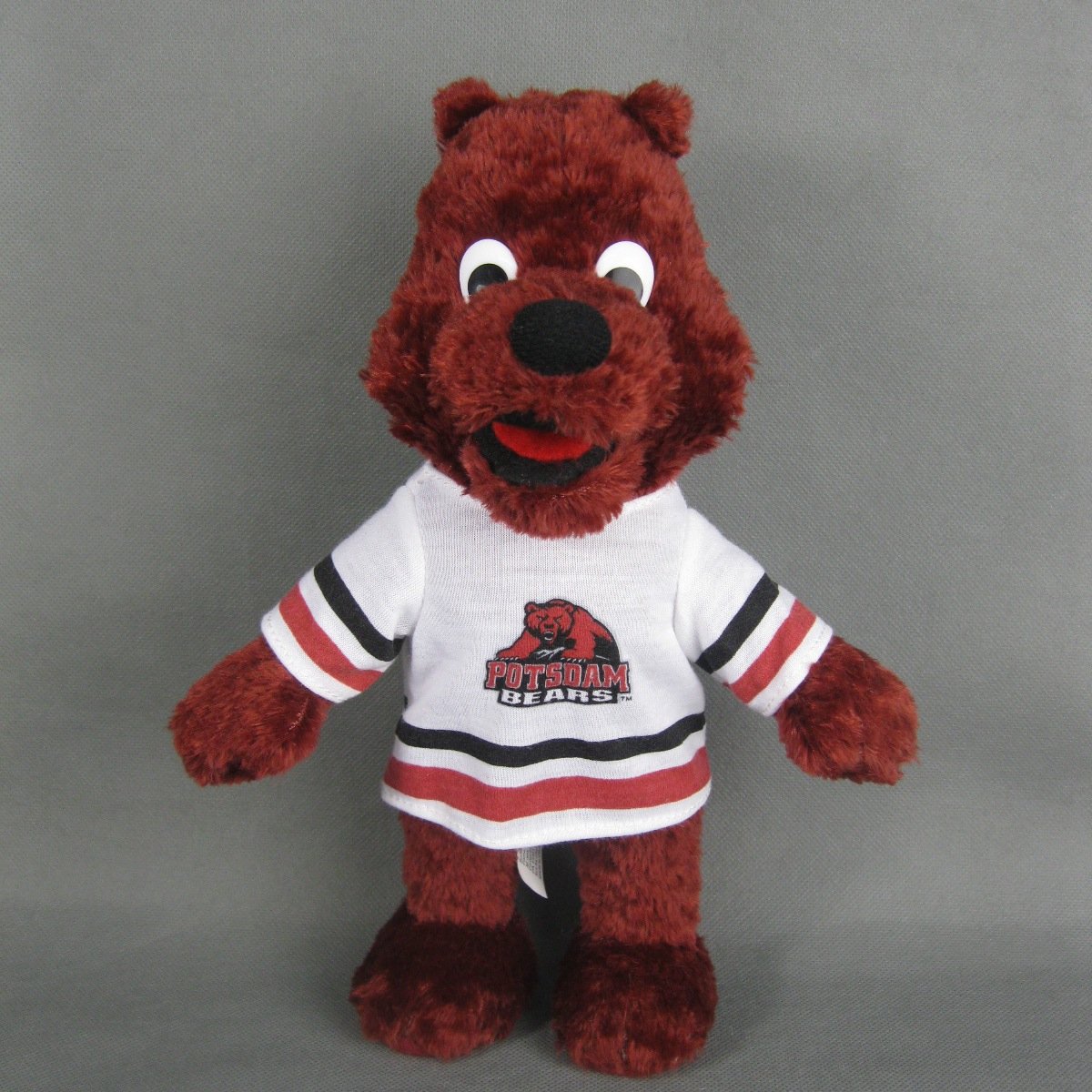 Official campus store for the SUNY Potsdam campus. Located in the Student Union.