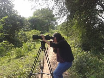 Independent Media Professional