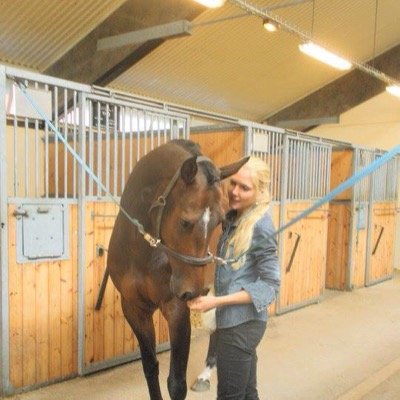 Olympic horse breeder. Former diplomat. CEO of Elling Stables. Gulf and MENA enthusiast. Retweeting what more people should see.
