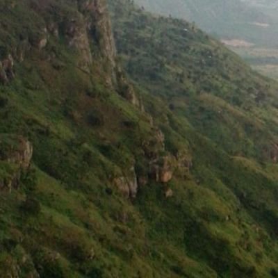 0f1592c88d69483's profile picture. 