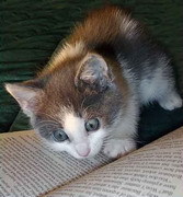 zt1992's profile picture. 