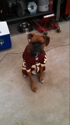 hdtnt1's profile picture. 