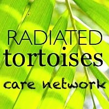 RadiatedT's profile picture. Dedicated to the conservation as well as breeding programs and captive care of the Radiated Tortoise, Astrochelys radiata. Working on an elaborate enclosure!