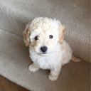 Benjamin Slack - @MrBjslack - Twitter