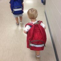 Dr. Thomas Sweet (@aps_transition) 's Twitter Profile