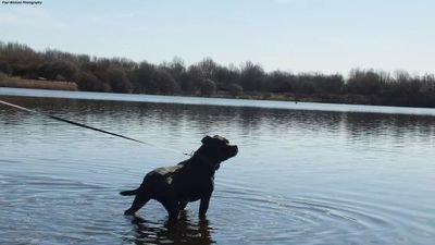 differentview25's profile picture. Business owner, campaigner for male victims of domestic abuse and raising awareness of male suicide.