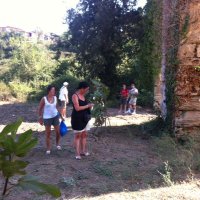 henkmaaskant (@henkmaaskant) 's Twitter Profile