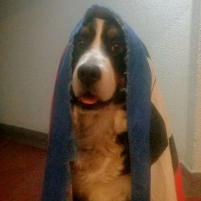No hay mucho que decir, pero siempre hay algo que escuchar. Decir cosas sin sentido es lo más sensato que hay. Más cuadriculado que cebra a cuadros soy.