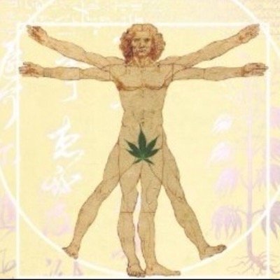 Cannabis- The Gateway To Health