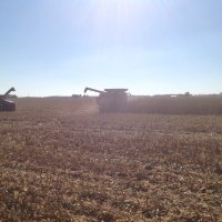 Bryon Coffman (@coffmanfarms94) 's Twitter Profile