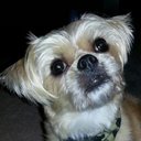 Denise Gustafson - @denisediane90 - Twitter