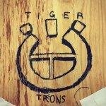 Tiger Trons  Profile