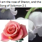 gottalovejesus7's profile picture. unworthy servant of the amazing GOD...so much love for JESUS and for you