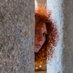 Elisa Invernizzi (@elirossa) Twitter profile photo