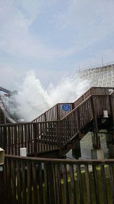 廃止予定垢さんのプロフィール画像
