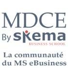 Les livre blancs de la communauté du Ms MDCE de SKEMA, webmarketing, big data, objets connectés