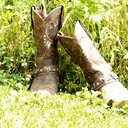 Dawn Lochner - @DawnLochner - Twitter